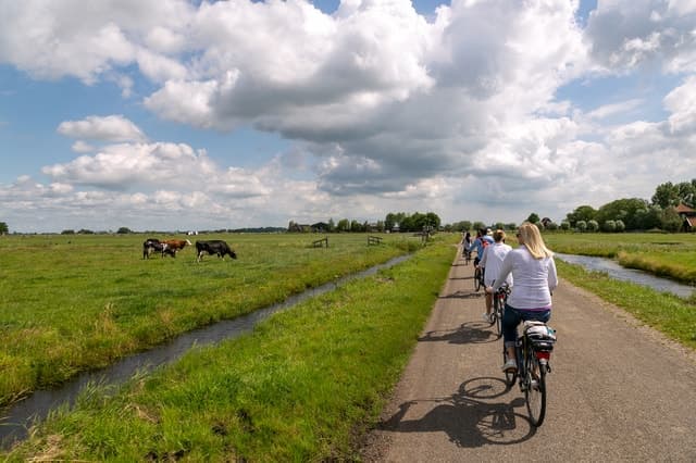 Authentic Amsterdam Windmills Tour & Dutch Heritage Experience