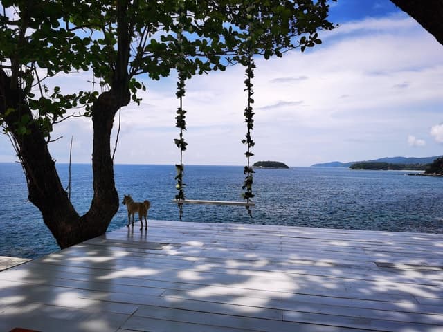 Best Phuket Rock Beach Swing Tours & Prices