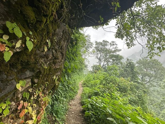 Compare Top-Rated Kunjapuri Sunrise Treks