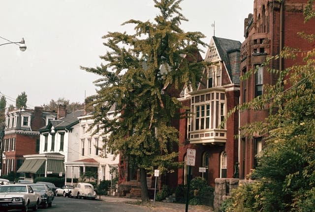 Norfolk African American History Guided Walking Tour Options