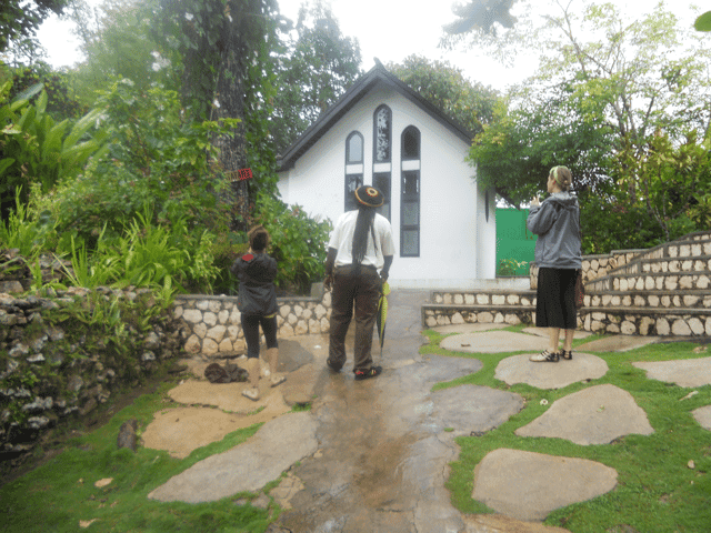 Compare Top Bob Marley & Dunn's River Tours