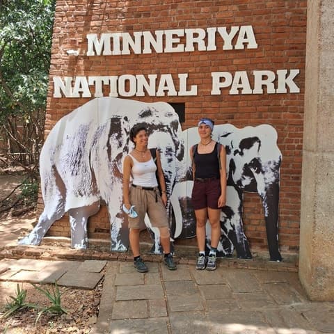 Wild Elephant Gathering: Safari in Anuradhapura