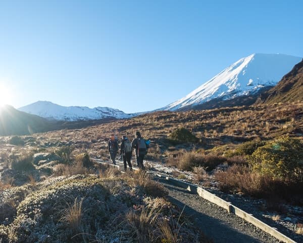Compare Top Tongariro Alpine Crossing Tours & Hikes