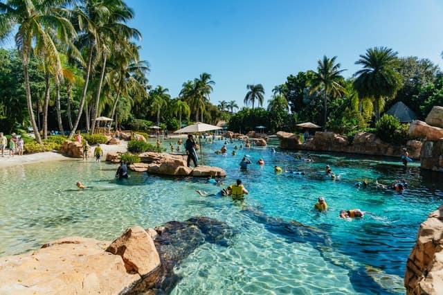 Book Dolphin Encounters & Day Passes