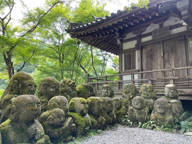 Arashiyama Bamboo Forest Tour