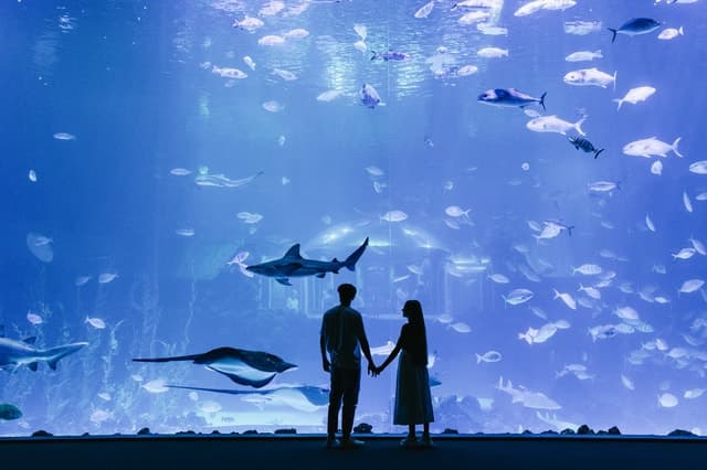 Top-Rated Tours: Poema del Mar Aquarium