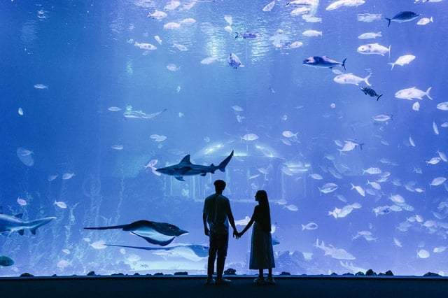 Poema del Mar Aquarium