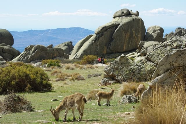 Segovia & Guadarrama Hiking: Madrid's Ultimate Escape