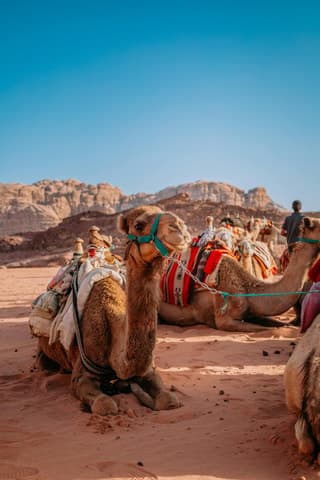 Best Jaipur to Pushkar Day Tour: Spiritual & Cultural Escape