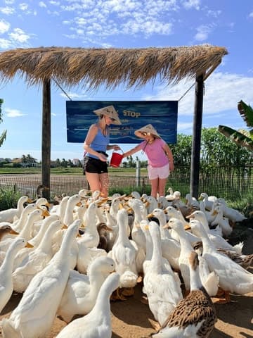 Best Hoi An Buffalo & Basket Boat Experiences