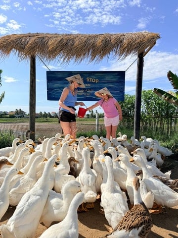 Hoi An Buffalo Riding & Basket Boat Tour