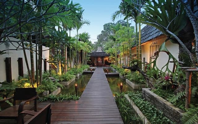 Best Chiang Mai Spa Tours & Wellness