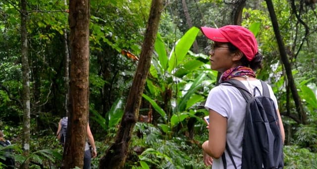 Best Chiang Dao Cycling Adventures in Chiang Mai
