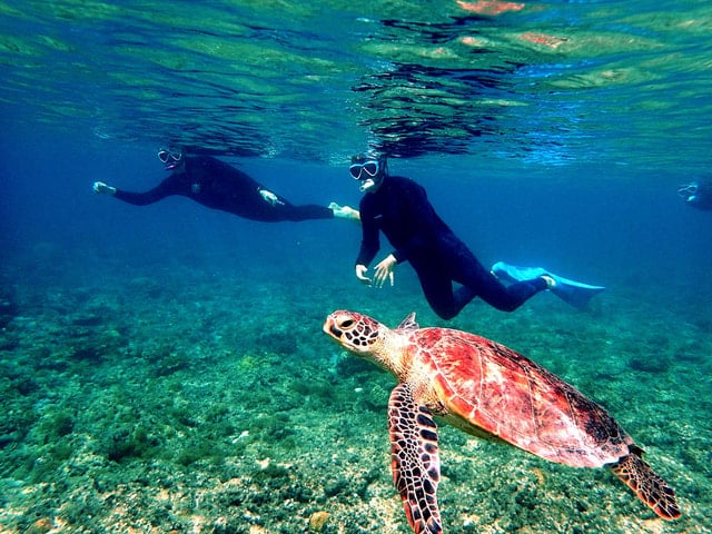Kerama Islands Snorkeling Adventure