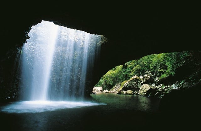 Springbrook Waterfalls Tour