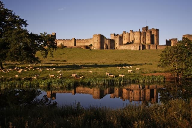 Compare St Andrews Day Tours in Edinburgh