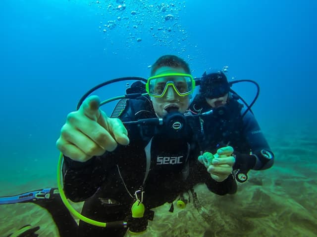 Tenerife Scuba Certification: PADI Open Water