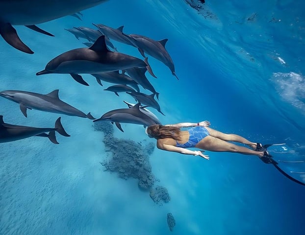 Sataya Dolphin House Snorkeling