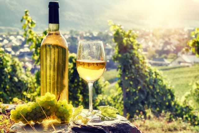 Authentic Bucharest Wine Tasting & Vineyard Tours