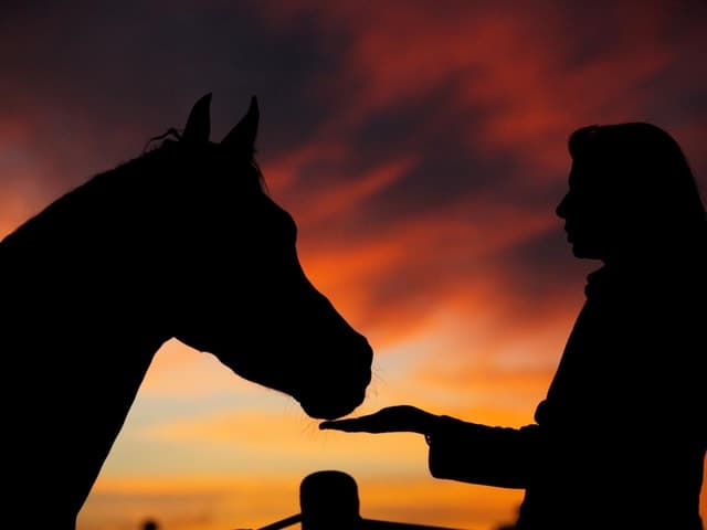 Hurghada Sea & Desert Horse Tour