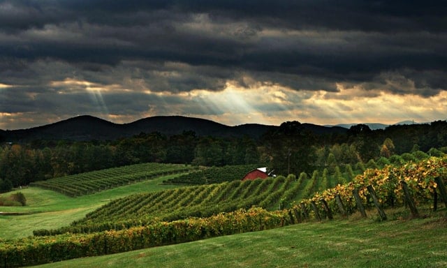 North Georgia Wine Country Tour