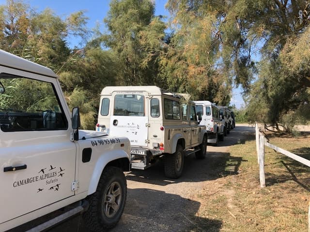 Experience Wildlife Adventures: Camargue Safari Arles