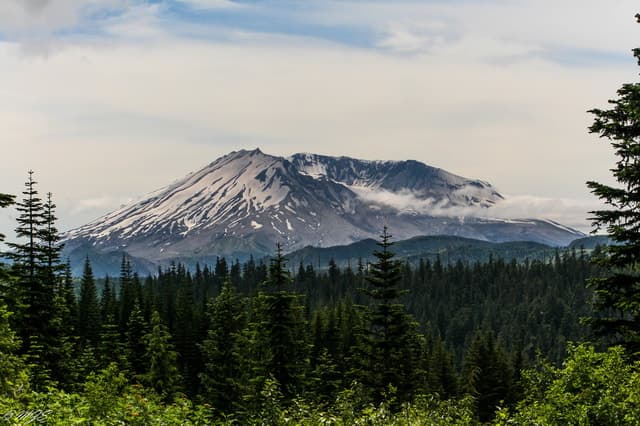 Mt. St. Helens National Monument Tour