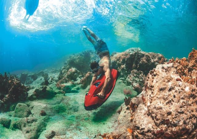 Fort Lauderdale Snorkel Tour