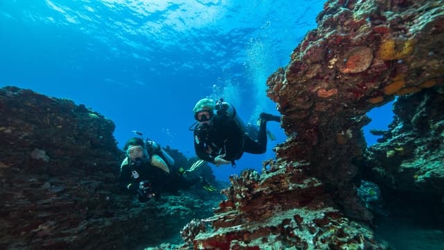 Honolulu Scuba Diving - Oahu