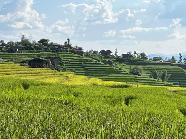 Pa Pong Piang: Chiang Mai's Hidden Gem