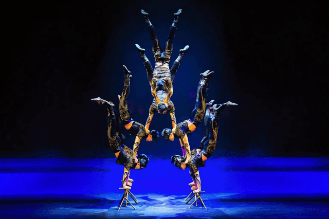 Shanghai Acrobatic Show: Gravity-Defying Spectacle