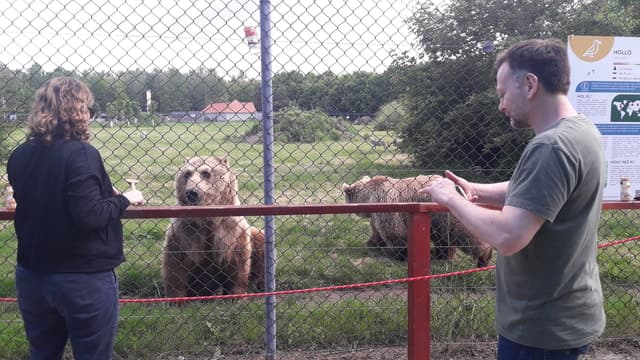 Best Bear Sanctuary Excursions Near Budapest
