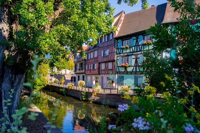 Compare Alsace Wine Tours in Strasbourg
