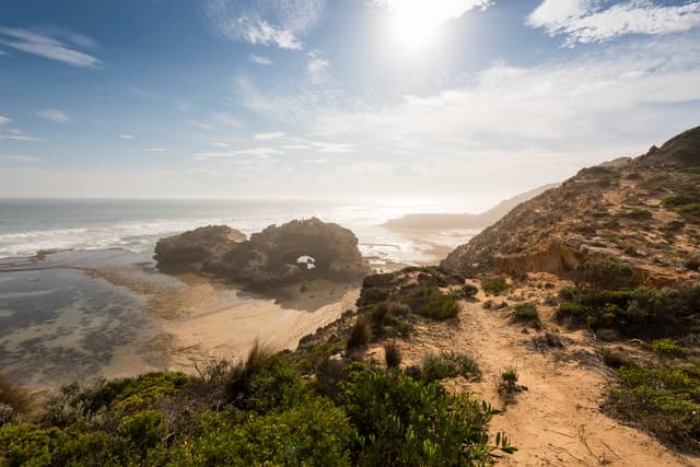Best Mornington Peninsula Tours & Melbourne Coastal Escapes