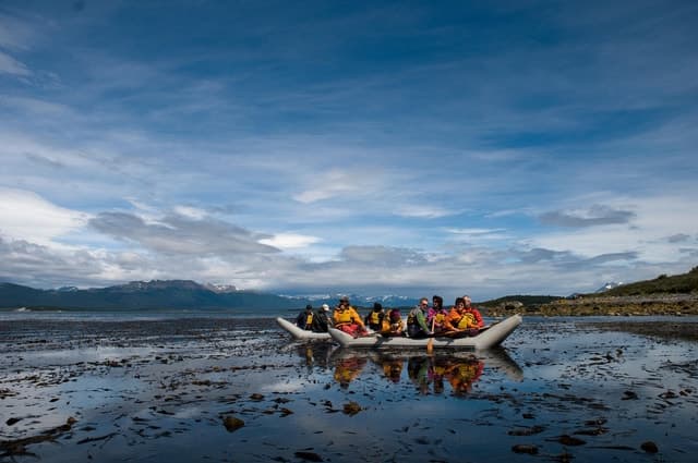 Best Beagle Channel Penguin Tours in Ushuaia, Argentina