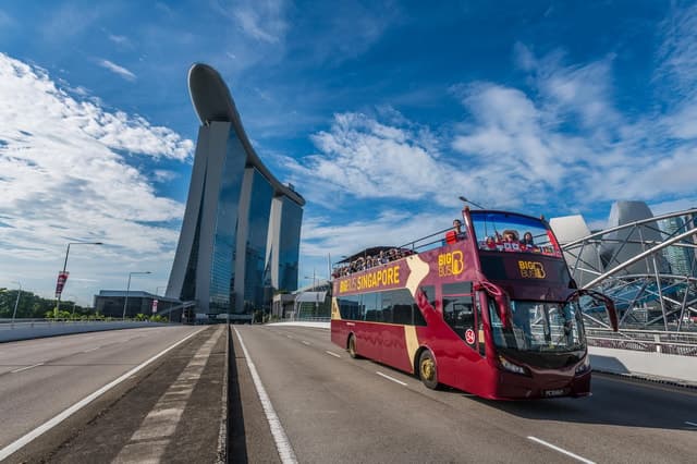 Unforgettable Singapore Night Sightseeing & City Lights Tour