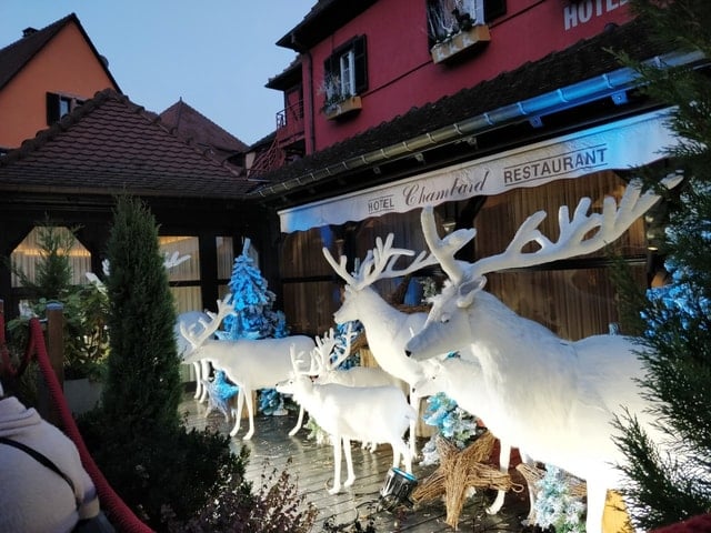 Colmar Christmas Market Tour