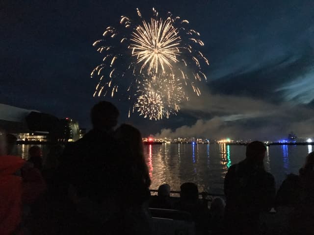 Best Reykjavik New Year's Fireworks Boat Experience