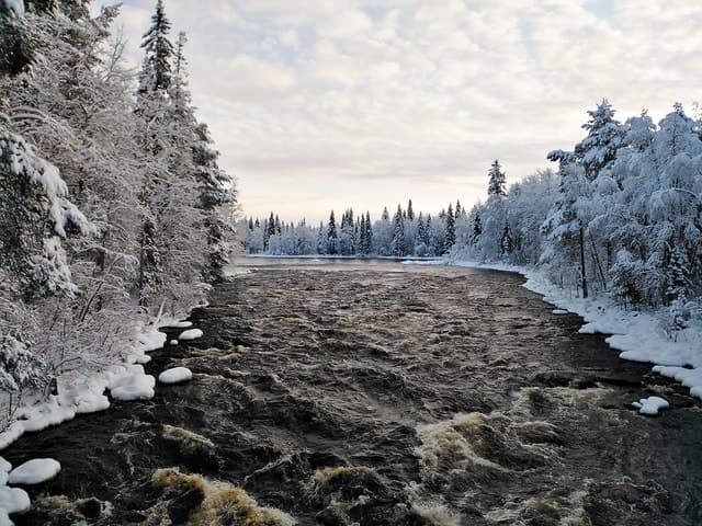 Compare Arctic Wilderness Hikes in Rovaniemi