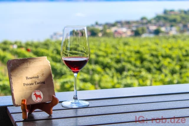 Best West Kelowna Wine Tour Experiences in North West