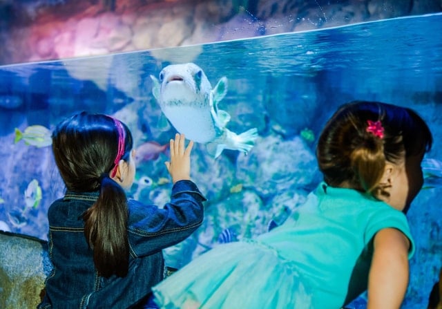 SeaWorld San Antonio