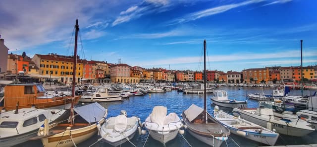 Best Istria Day Trips from Zagreb: Food & Wine Tours