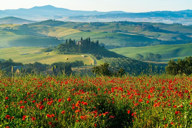 Compare Top Tuscany Wine Tours from Rome