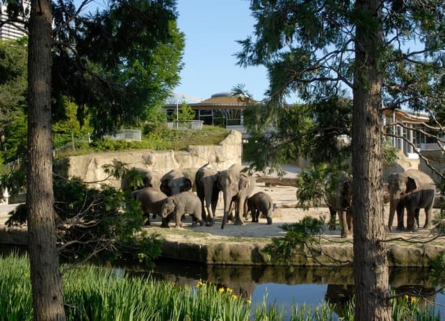 Cologne Zoo: Wildlife & Tours