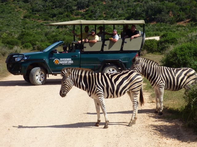 Best Addo Elephant Safari Tours in Andalsnes