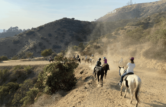 Hollywood Trail Horseback Riding: Iconic LA Views