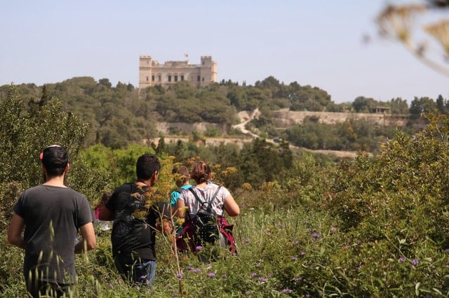 Buskett Woodlands & Dingli Cliffs Tour