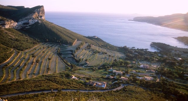 Marseille Wine Tasting