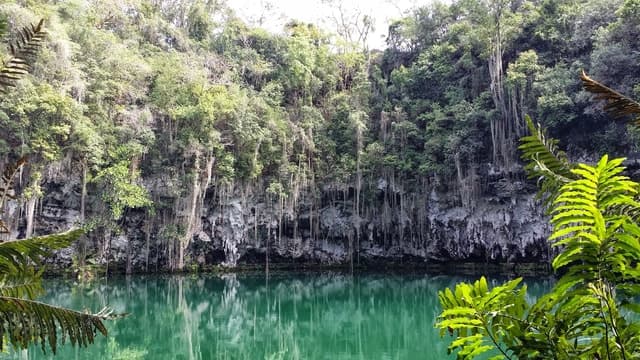 Los Tres Ojos: Swim & Explore Caverns