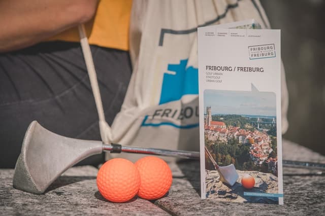 Fribourg City Card: Smart Travel in Fribourg